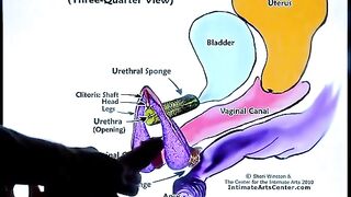 How to make a pussy squirt - the best technique!
