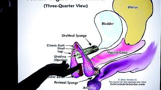 How to Squirt?! The ultimate tutorial by Mr PussyLicking!