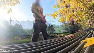 A flash of dick in the park, a MILF can't resist titty fuck