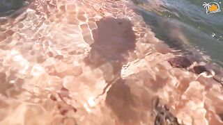 Couple engaged in real public sex right on the beach in Valencia