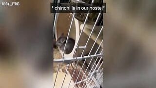Sex in a capsule hostel and the continuation of the journey to the big city