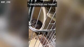 Sex in a capsule hostel and the continuation of the journey to the big city