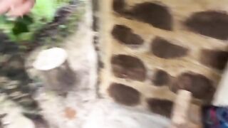 Couple caught fucking in the jungle, totally wild!