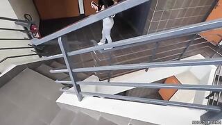 Fake agents fucked Chilean model with perfect ass in elevator and toilet