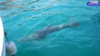 Romantic boat date turns into hard sex on a secluded island