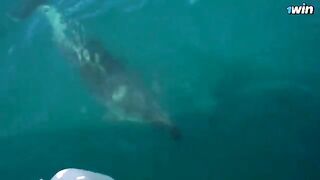 Romantic boat date turns into hard sex on a secluded island