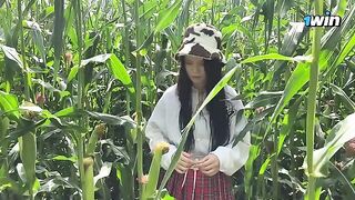 A security guard caught a thief in a cornfield and fined her