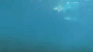 Two aqualangists fucked at the bottom of the sea
