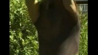 Fingered his big dick in the hayloft