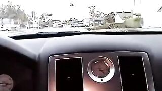Nikki made a blowjob right in the car, it was quite a risky spot