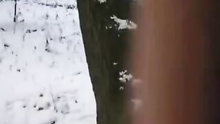 A couple tried to freeze their intimate moment, inspired by the 'Freeze' channel's unique twist