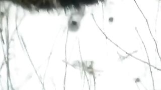 A winter blowjob in the street, captured in all its raw glory