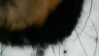 A winter blowjob in the street, captured in all its raw glory