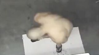 A hot naked guy was filmed in the shower with a hidden camera