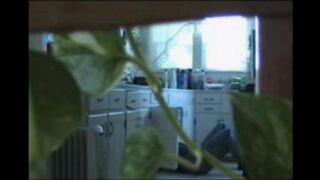 A married couple has no shame and fucks freely in their apartment
