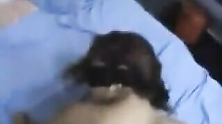 Girl with a flexible back allows to get a cock in her ass