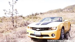 The story of sex in the car mafia style