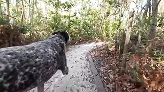 A couple is having fun on the Florida Everglades