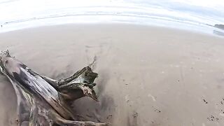 The beach is always wet – from the water and because of the weather
